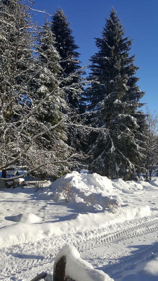 Wanderhuette Zum Bernhardsthal Villa Buitenkant foto