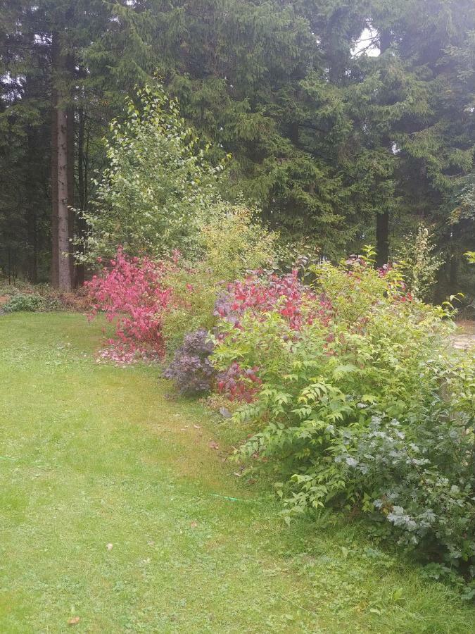 Wanderhuette Zum Bernhardsthal Villa Buitenkant foto